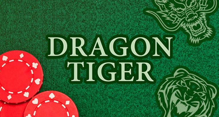 cá cược rồng hổ