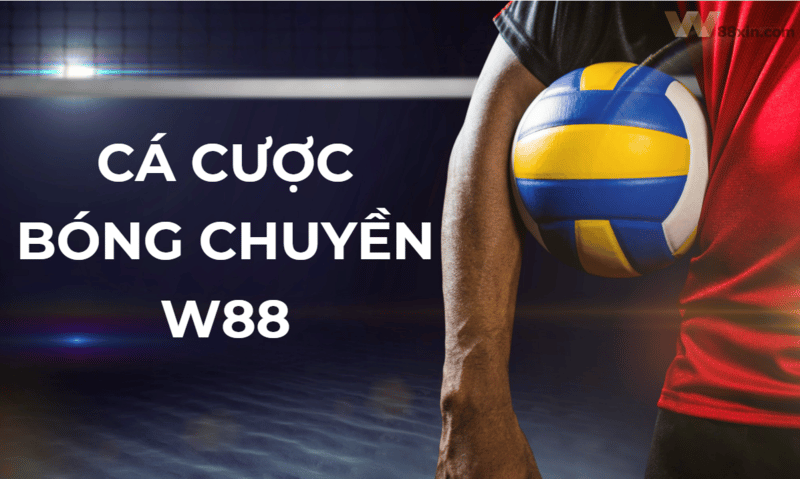Cá cược bóng chuyền