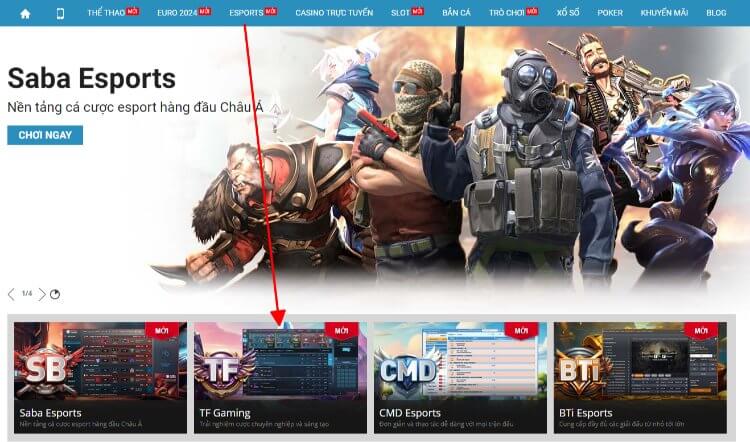 hướng dẫn cược tf gaming