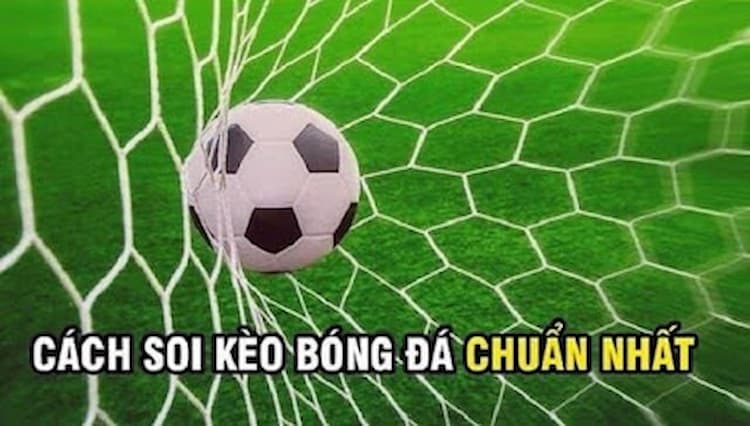 Cách soi kèo chuẩn