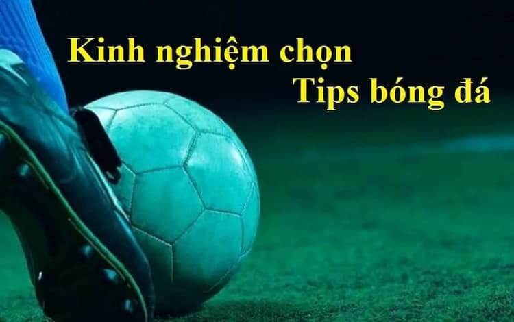 Tips bóng đá
